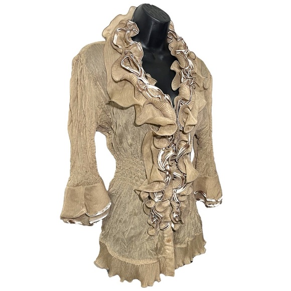 Daniel Tan Sheer Ruffle Button down Blouse - Picture 2 of 5